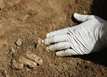 GENOCID NA TENDERU Wiesenthal: Navikavanje žrtve da prihvati rezultate genocida je novi genocid