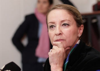 NAKON ŠTO JU JE ERDOGAN ODBIO OSOBNO KANDIDIRATI: Sebija Izetbegović se definitivno povlači iz utrke za člana Predsjedništva BiH?!