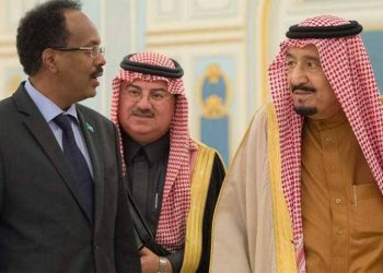 UNOSAN ARAPSKI PROJEKAT Ali mogao bi RASPARČATI  jednu afričku zemlju