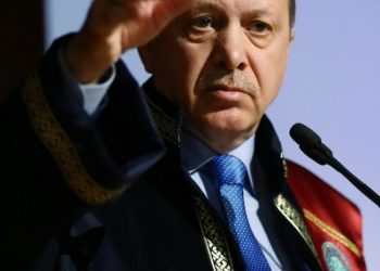 NADMENOST I NAMETLJIVOST Saudijski mediji u Erdoganu vide novog Hitlera