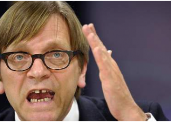 ISUŠIVANJE EVROPSKE MOČVARE Verhofstadt: Populisti imaju grozan rezultat po pitanju nejednakosti, korupcije i kriminaliteta.