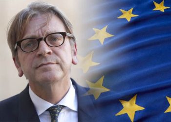 EVO KAKVA NAM TREBA EVROPA Verhofstadt: Agitatori desnice koriste pokret Žutih prsluka kao platformu za širenje mržnje i laži