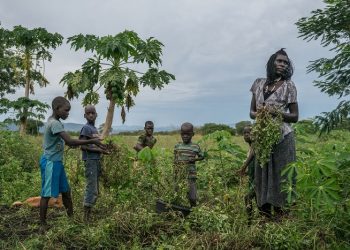 CRNAČKA SOLIDARNOST Uganda je jedna od najgostoljubivijih zemalja na svijetu za izbjeglice