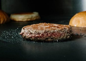 “NEMOGUĆI BURGER”: Može li vještačko meso da konačno zamijeni govedinu