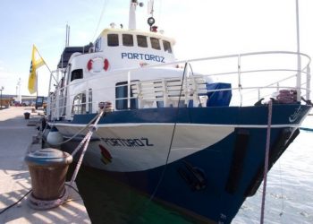 ‘MA NIŠTA NE VALJA TA UNIJA’ : Kako izgleda Slovenija poslije 15 godina života u EU?