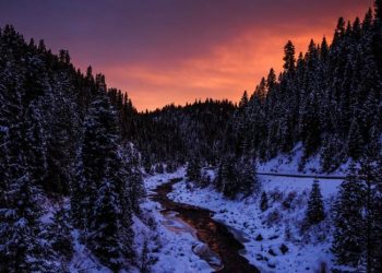 TURNER, BRAĆA KOCH, JEFF BEZOS: Ko su najveći američki zemljoposjednici