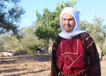ČIČA I BABA KOJIMA JE DOZLOGRDILO: MOHAMED I MUFTIJAH Slapšak: Za razliku od omladine, oni ne očekuju budućnost, ali za nju brinu