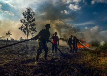 PLANETA U PLAMENU Požari u Amazoniji, Sibiru i Africi su kao kuga – ne prestaju se širiti