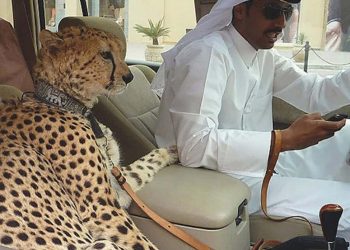 MRAČNA STRANA DUBAIJA: 10 stvari koje će vas šokirati