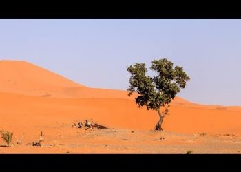MALI KORACI SUŠNOG KONTINENTA Sub-saharska Afrika polako rješava problem pitke vode