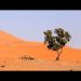 MALI KORACI SUŠNOG KONTINENTA Sub-saharska Afrika polako rješava problem pitke vode