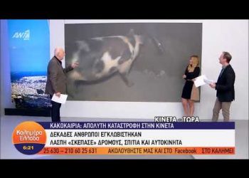 NOVINAR BJEŽAO OD SVINJE U PROGRAMU UŽIVO Voditelji u studiju jedva savladavali smijeh