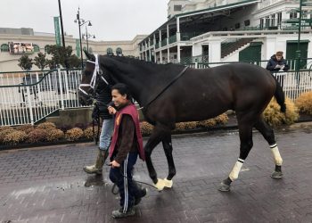 LJEPOTAN MISHKO S BOSANSKOM ZASTAVOM: Prvi bosanski konj priprema se za Kentucky Derby (FOTO+VIDEO)