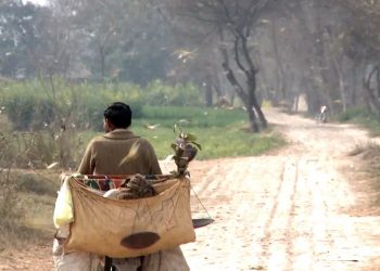 PAKISTAN, SOMALIJA, KENIJA… Najezda pustinjskih skakavaca