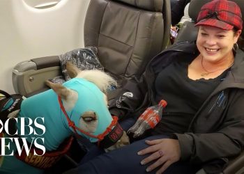 VIDEO Neobična vožnja avionom