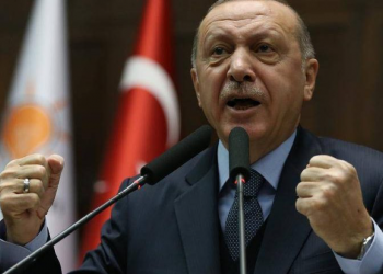 NEMA MERHAMETA ZA KRITIČARE ERDOGANA Schenk: Novinari spadaju u „opasnosti” za vladu AKP