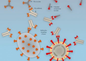 KORONAVIRUS NIJE ŽIV Zato je tako teško ubiti ga i pronaći lijek protiv njega