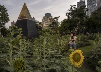 O ČEMU SE RADI Myanmar i Kambodža nisu poštovali društveno distanciranje a nemaju mnogo zaraženih. Peru je topla zemlja i jako je pogođen