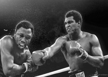 SIN MUHAMEDA ALIJA:  “Trumpovi protivnici pravi rasisti…Antifu treba ukloniti”