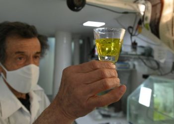 IZBJELJIVAČ, SREDSTVO ZA DEZINFEKCIJU BAZENA, LIJEK PROTIV PARAZITA, HIDROKSIHLOROKIN: Sve sumnjive (i opasne) terapije koje ljudi koriste protiv korone