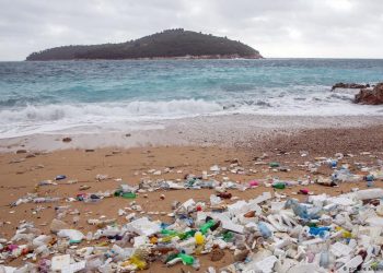 SAME FEKALIJE: I s malo turista Jadran kao septička jama