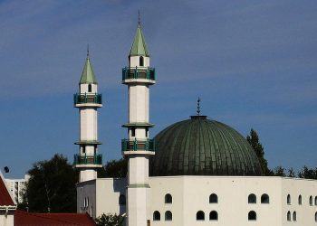 NOVA POLITIČKA STRANKA U ŠVEDSKOJ: ”Arapska stranka”će preuzeti odgovornost za arapski narod, negira plan o potencijalnom ”arabiziranju” Skandinavije