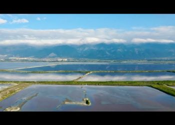 POGLEDAJTE OVE PREDIVNE PRIZORE: Hiljade ptica preletjelo kinesko jezero Janhu