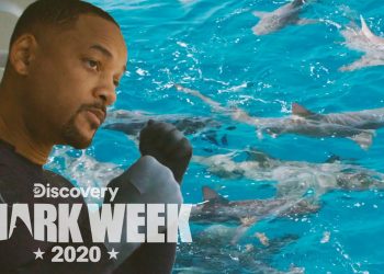 U ‘RALJAMA’: Will Smith zaplivao s morskim psima i pobijedio svoj najveći strah