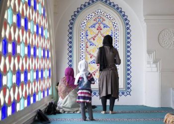 KURZ ŽELI SANKCIONIRATI POLITIČKI ISLAM Hasrat-Nazimi: Borba protiv islamizma zajednička stvar muslimana i nemuslimana