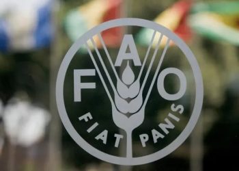 FAO: Svjetske cijene hrane u oktobru dosegle novi desetogodišnji rekord