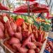 STUDIJA: Vegani i vegetarijanci trebaju paziti na prehrambene navike