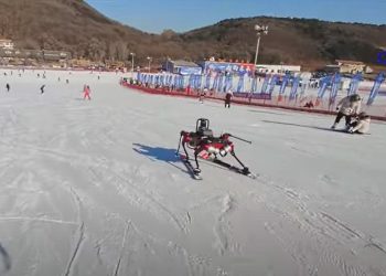 NEOBIČAN SKIJAŠ:  Pogledajte kako se robot-pas na skijama spušta niz padinu