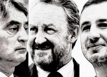 SBiH i DF – 100% SDA: Efendić podržao Komšića i najavio postizbornu koaliciju dviju stranaka