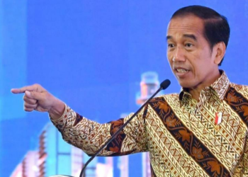 INDONEZIJA – NOVI PONOS DALEKOG ISTOKA: Islam, demokratija, strateški položaj i resursi