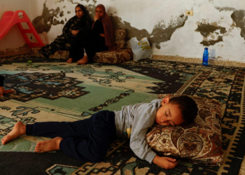 IZRAELSKO-PALESTINSKI RAT Cook: Krv Gaze je na rukama Zapada koliko i Izraela