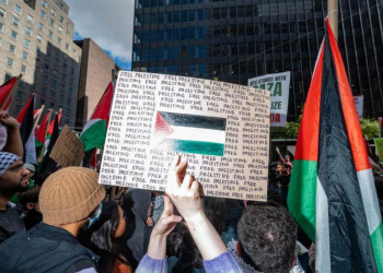 OBJAŠNJENJA NISU OPRAVDANA Schulman: Nevina žrtva ima pravo na saosećanje i ne mora nositi teret krivice