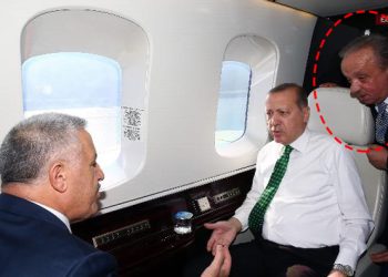 BANDA PETORICE“: Zašto je Erdoganov saveznik postao medijski mogul u BiH?