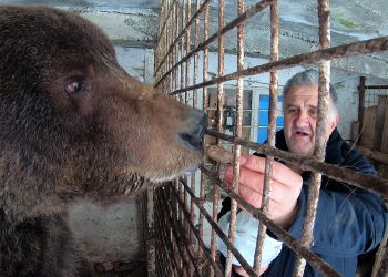 VIDEO Emin iz Vakufa za ljubimce već 17 godina ima – dva medvjeda