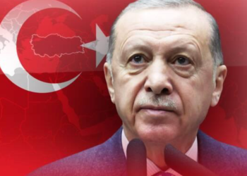 DAVA: U Njemačkoj pokrenuta ‘Erdoganova stranka’