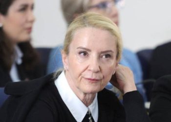 KAD JE AŠA BIO PAŠA, A DINO TITO: Sebija Izetbegović optužila Aljošu Čamparu da mu je narko bos kao ministru policije poklonio uniformu