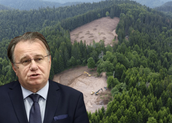 OPONAŠAJUĆI VUČIĆA NEKA SE HTIO DOMOĆI „BIJELOG ZLATA“: “Slučajni ekocid” i pustošenje šume između Kaknja i Vareša dobili epilog
