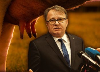 RECEPT ZA KATASTROFU: Sisavac budžeta i vječiti ćato Nikšić vrijeđa poslodavce i zdravu pamet