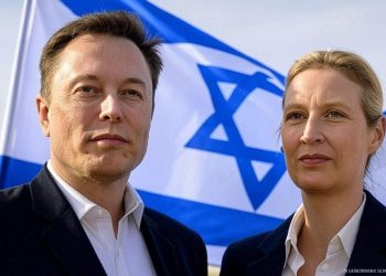 IZA USPONA FAŠISTA U EVROPI STOJI CIONISTIČKI LOBI:  Sastanak Muska i Alice Weidel pokazuje da AfD  ipak procionistička stranka