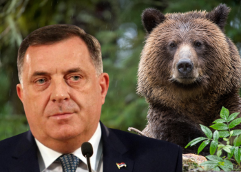 ZAŠTIĆEN KAO RUSKI MEDVJED: Koliko daleko može ići Putinova podrška Dodiku?