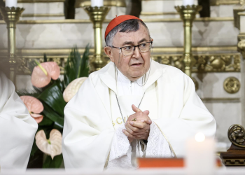 TRAŽIO DA PAPA BLAGOSLOVI BIH Puljić: Lav XIV želi obnoviti Crkvu iznutra