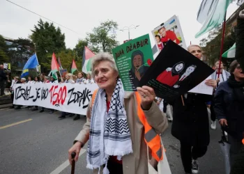 SVI BOŠNJACI NIKOM PONIKOŠE I U CRNU GAZU POGLEDAŠE  Zoletić: Zašto mnogi bosanski stručnjaci za genocid šute o Gazi