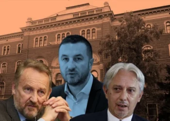 BOŠNJAČKI TROUBLE MEN: Efendić je nabacio pobjednički volej Bećiroviću i Čovićevom kandidatu