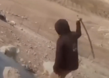 UZNEMIRUJUĆE SNIMKE : Premlatio psa, a onda napao i ženu s djetetom! Šokantna okrutnost Izraelca u palestinskom selu
