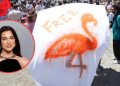 DUA LIPA PODRŽALA ‘REVOLUCIJU FLAMINGOSA’: ‘Zaista me uzbudi kad vidim koliko je ljudima stalo’